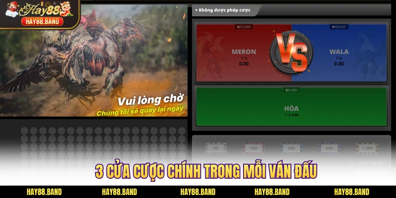 3 cửa cược chính trong mỗi ván đấu 3 cửa cược chính trong mỗi ván đấu