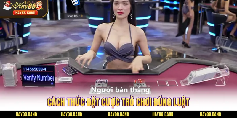 Cách thức đặt cược trò chơi đúng luật Cách thức đặt cược trò chơi đúng luật