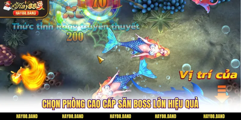 Chọn phòng cao cấp săn boss lớn hiệu quả Chọn phòng cao cấp săn boss lớn hiệu quả