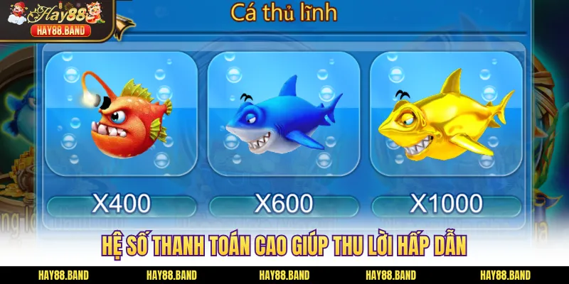 Hệ số thanh toán cao giúp thu lời hấp dẫn Hệ số thanh toán cao giúp thu lời hấp dẫn