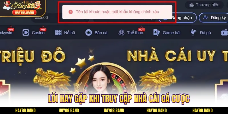 Lỗi hay gặp khi truy cập nhà cái cá cược Lỗi hay gặp khi truy cập nhà cái cá cược