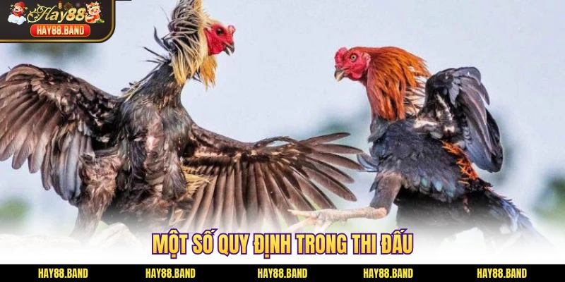 Một số quy định trong thi đấu Một số quy định trong thi đấu
