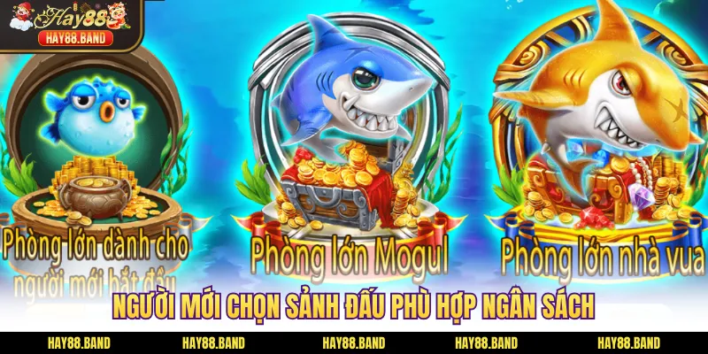 Người mới chọn sảnh đấu phù hợp ngân sách Người mới chọn sảnh đấu phù hợp ngân sách