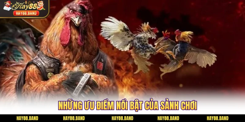 Những ưu điểm nổi bật của sảnh chơi Những ưu điểm nổi bật của sảnh chơi