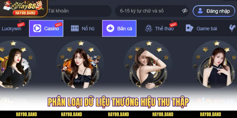 Phân loại dữ liệu thương hiệu thu thập